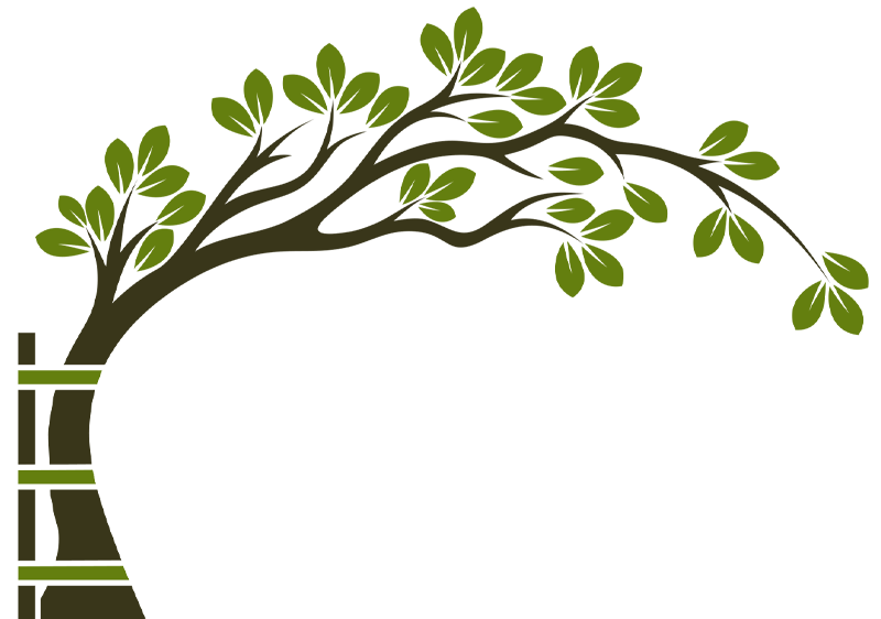 Orthopädie Mistelbach | Dr. Eiserle & Dr. Umgeher